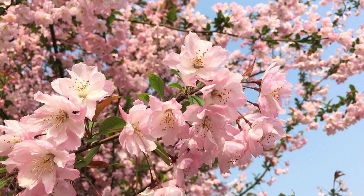 beat365平台官方网站风景