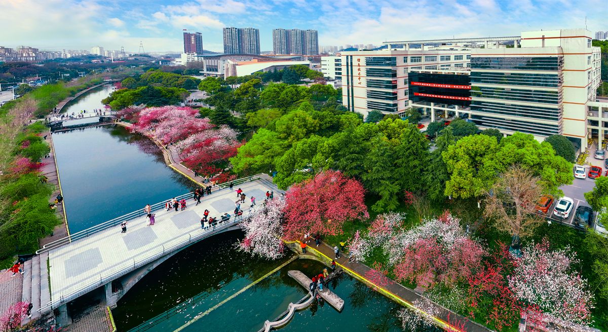 “趣享运动 携手迎新”beat365平台官方网站机关工会趣味运动会圆满落幕