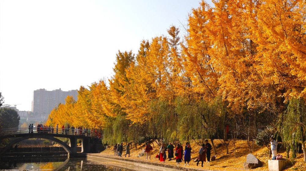 beat365平台官方网站风景