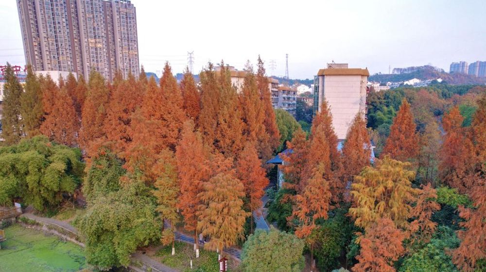 beat365平台官方网站风景