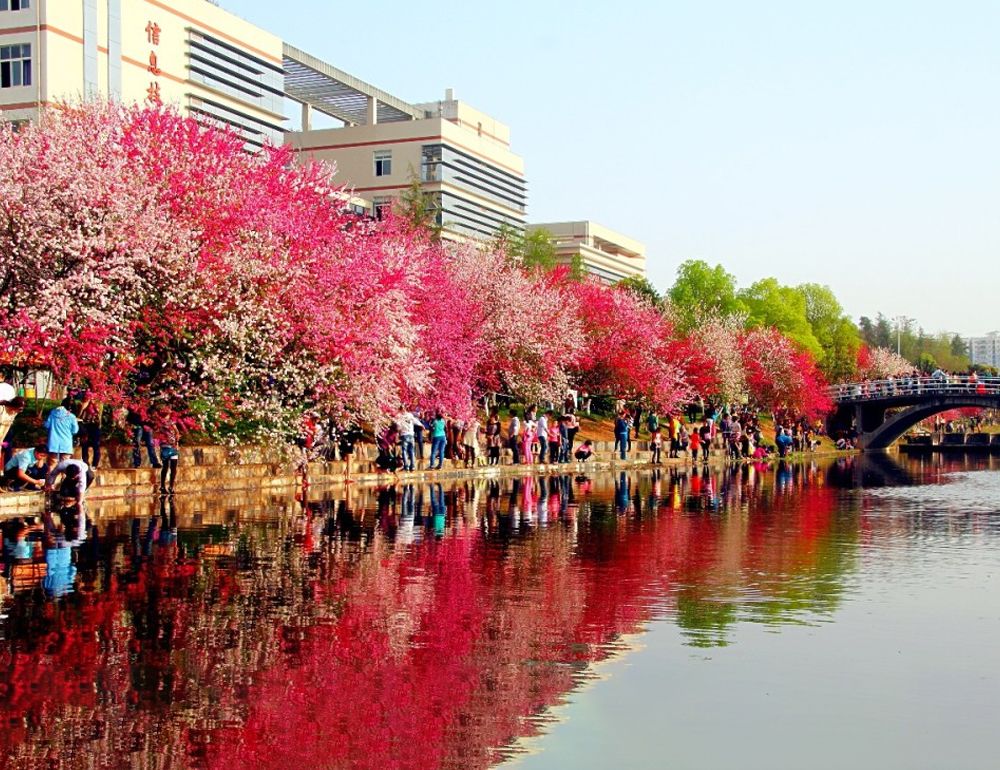 beat365平台官方网站风景