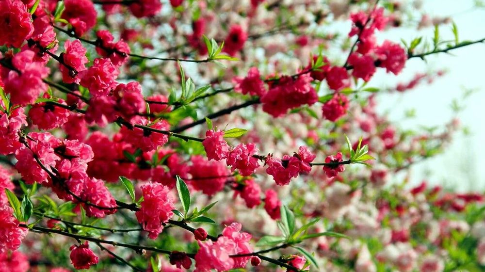 beat365平台官方网站风景